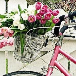 Meet your Posher, Barbara